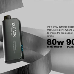 New ZLOADR V9000 Puffs Disposable Vape 20 Flavors