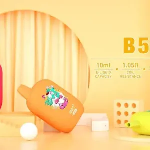 IGET B5000 Puffs 13 Flavors